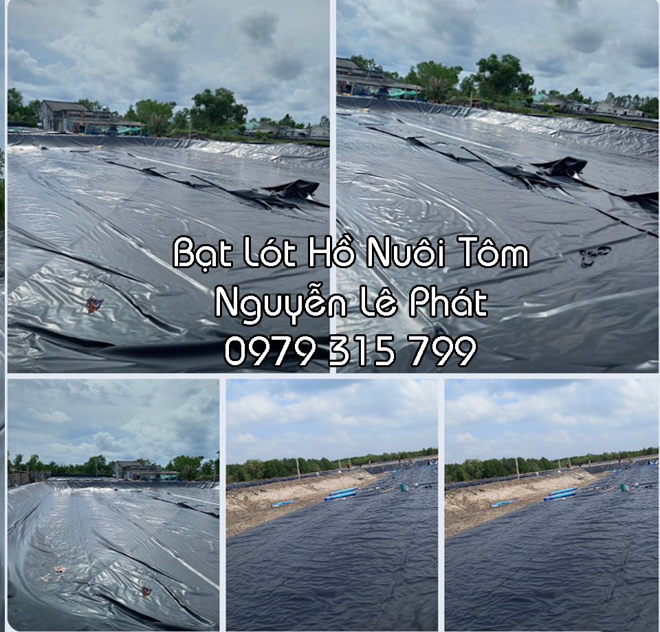 Ưu điểm bạt nhựa đen hdpe lót ao hồ nuôi cá ở Bình Thuận
