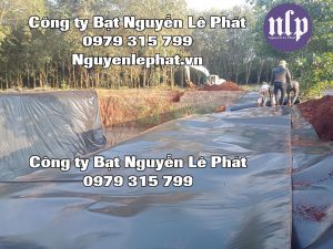 Thi Công Bạt Lót Ao Hồ Nuôi Cá Tại Bình Dương Giá Rẻ Bền Đẹp