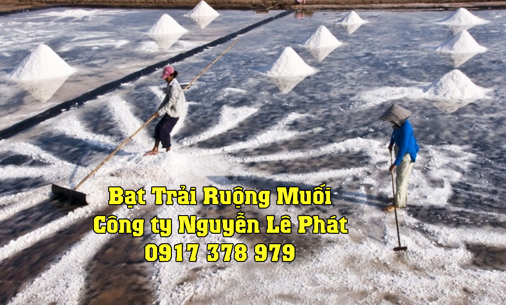 Báº¡t lÃ³t ruá»™ng muá»‘i Ninh Thuáº­n