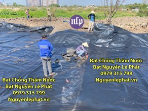 Báo Giá Bạt Lót Ruộng Làm Muôi Cần Giờ Củ Chi Bền 20 Năm