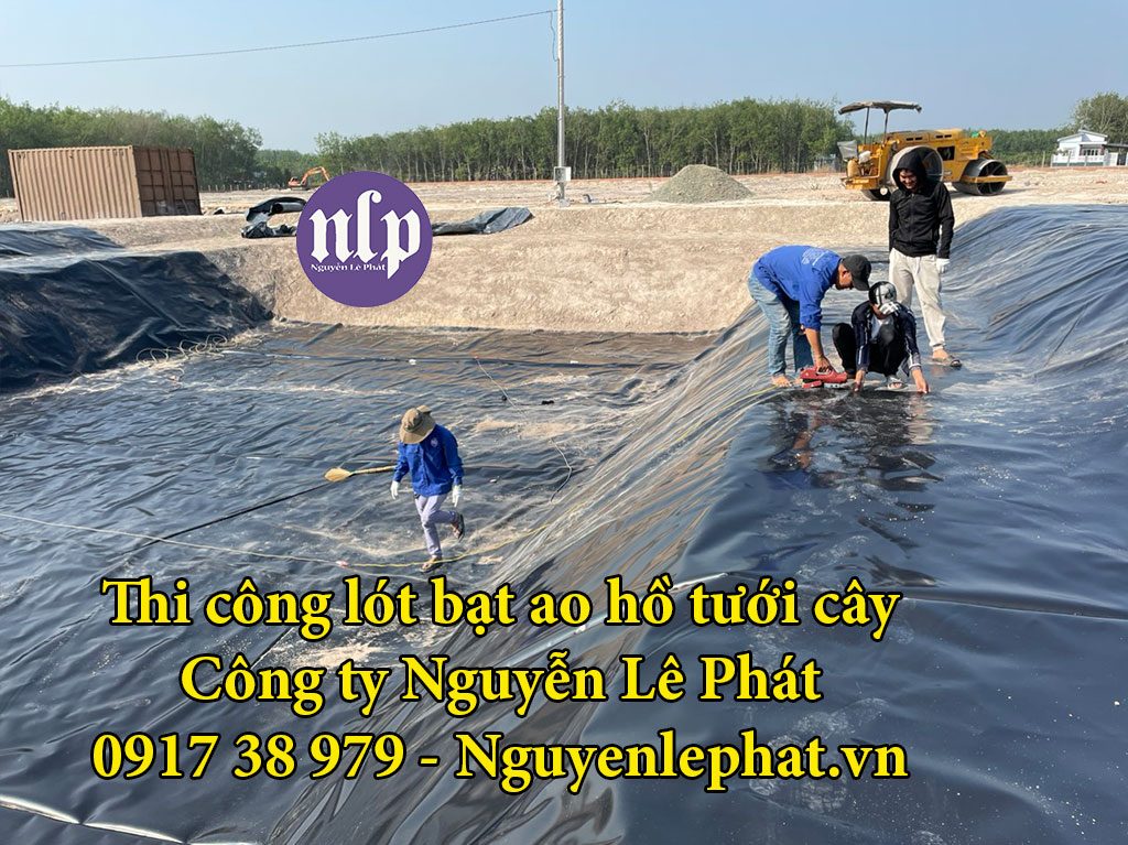 Bạt Lót Hồ Cá Hệ Thống Tưới Tại Trảng Bàng