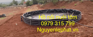 Lớp Màng Bạt Lót Ao Hồ Nuôi Tôm HDPE