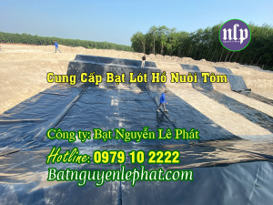 Bạt Lót Ao Hồ Chứa Đựng Nước Tưới Cây Nuôi Cá Tại Đất Đỏ