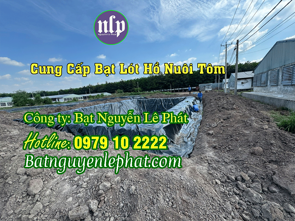 Thi công Bạt Lót Hồ Chứa Nước Tưới Tại Bù Đăng Giá Rẻ Thi công Bạt Lót Hồ Chứa Nước Tưới Tại Bù Đăng Giá Rẻ