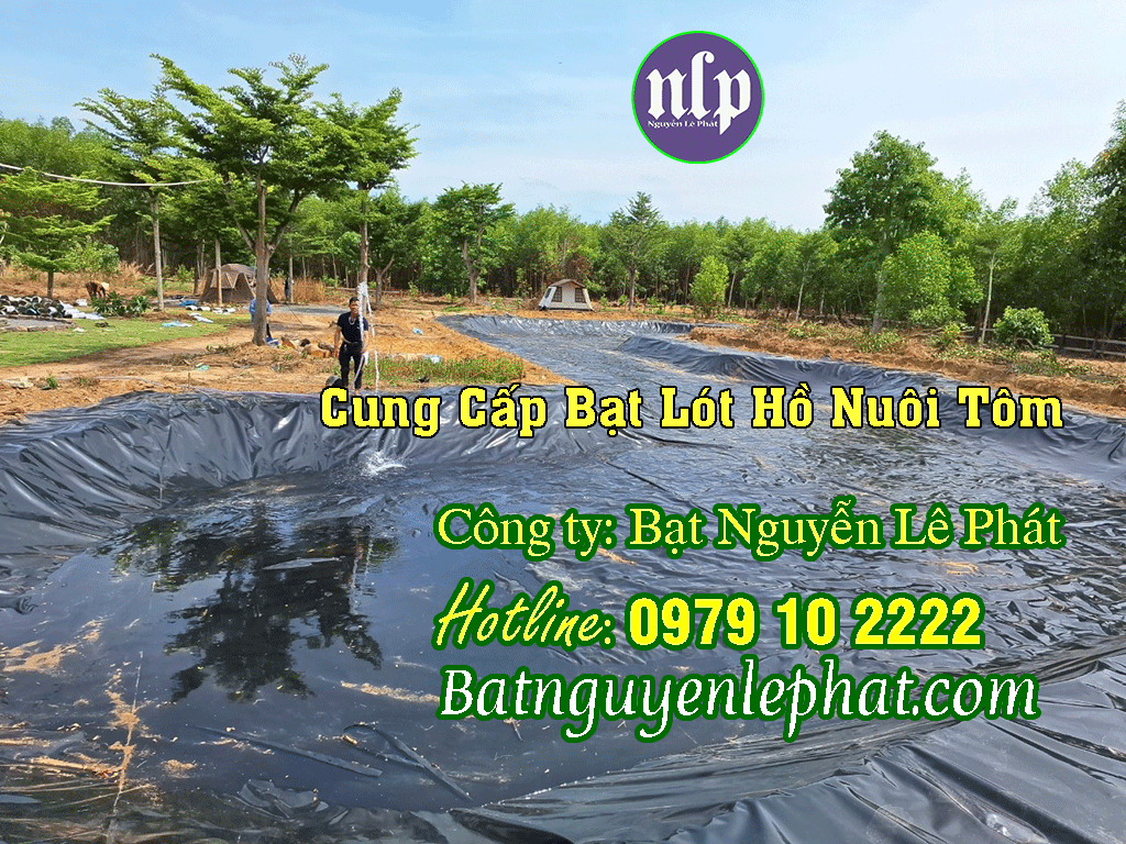 Thi công Bạt Lót Hồ Chứa Nước Tưới Tại Bù Đăng Giá Rẻ Thi công Bạt Lót Hồ Chứa Nước Tưới Tại Bù Đăng Giá Rẻ