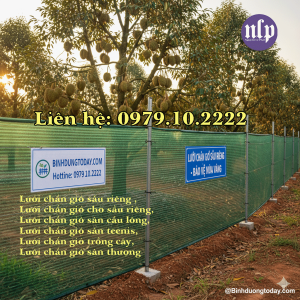 Lưới Chắn Gió Cho Cây Trồng Sầu Riêng