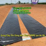 Bạt Nhựa HDPE Lót Hồ tại Dầu Tiếng Bạt Đủ Chuẩn DEM chất lượng